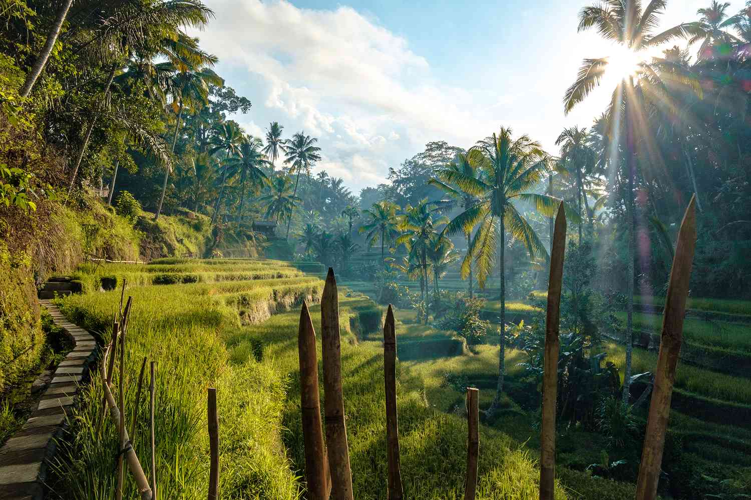 Weather in Bali - Everything you need to know